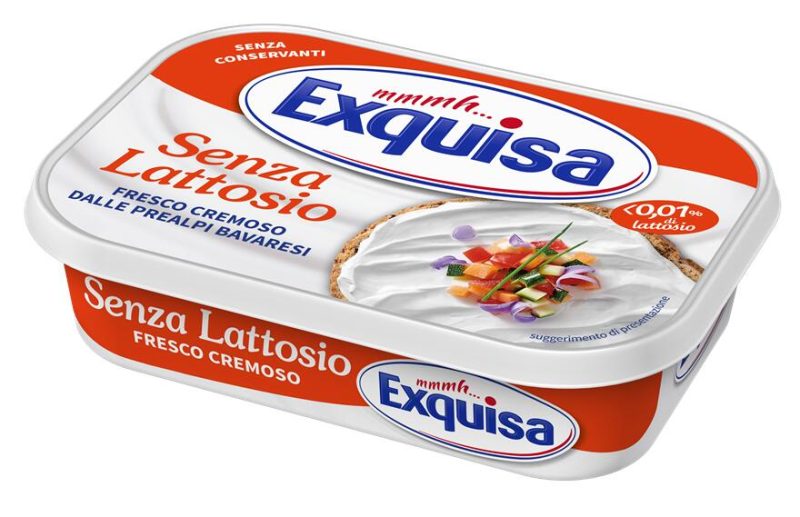 Exquisa il Fresco Cremoso Senza Lattosio 175 g