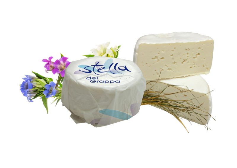 CACIOTTA STELLA DEL GRAPPA