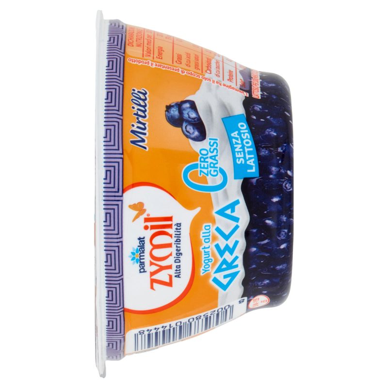 ZYMIL Alta Digeribilità Senza Lattosio Yogurt alla Greca Zero Grassi Mirtilli 150 g