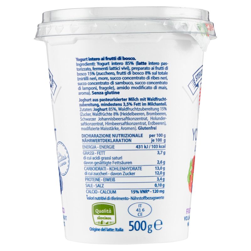 Sterzing Vipiteno Yogurt intero Frutti di Bosco 500 g