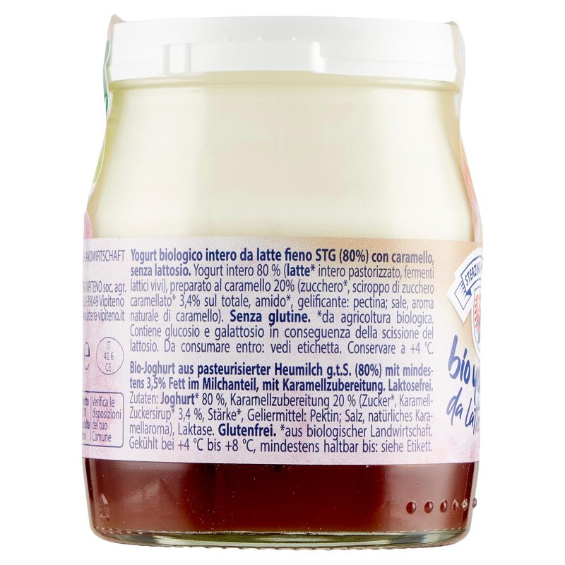 Sterzing Vipiteno bio yogurt da Latte fieno caramello senza Lattosio 150 g