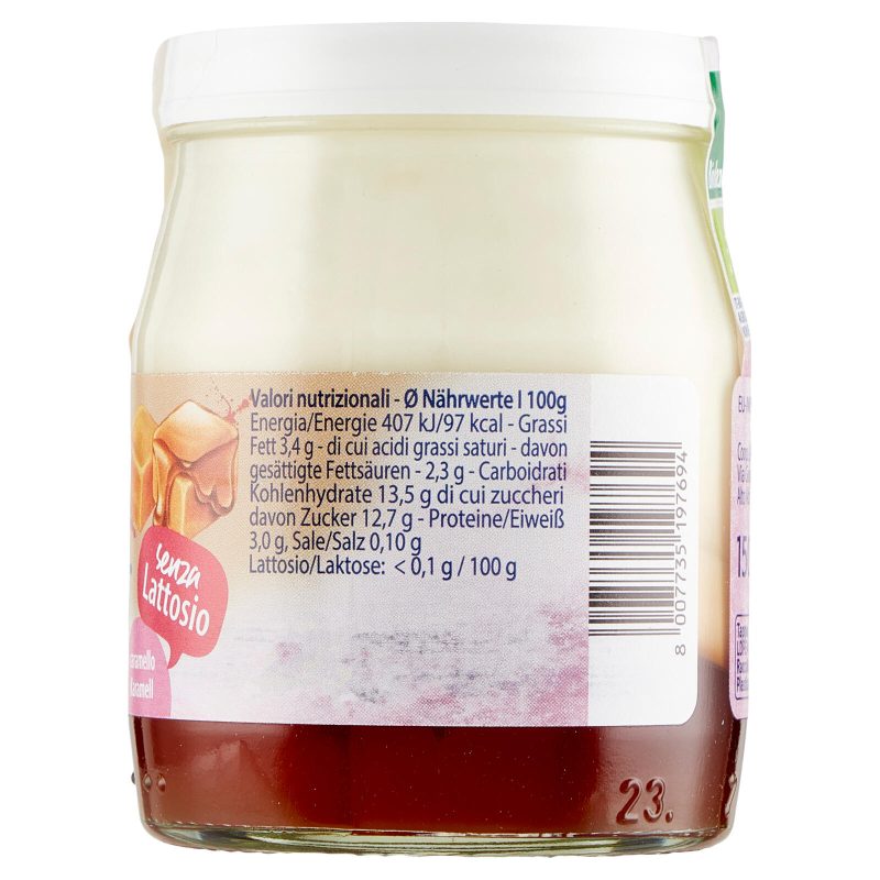 Sterzing Vipiteno bio yogurt da Latte fieno caramello senza Lattosio 150 g