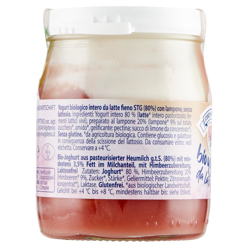 Sterzing Vipiteno bio yogurt da Latte fieno lamponi senza Lattosio 150 g