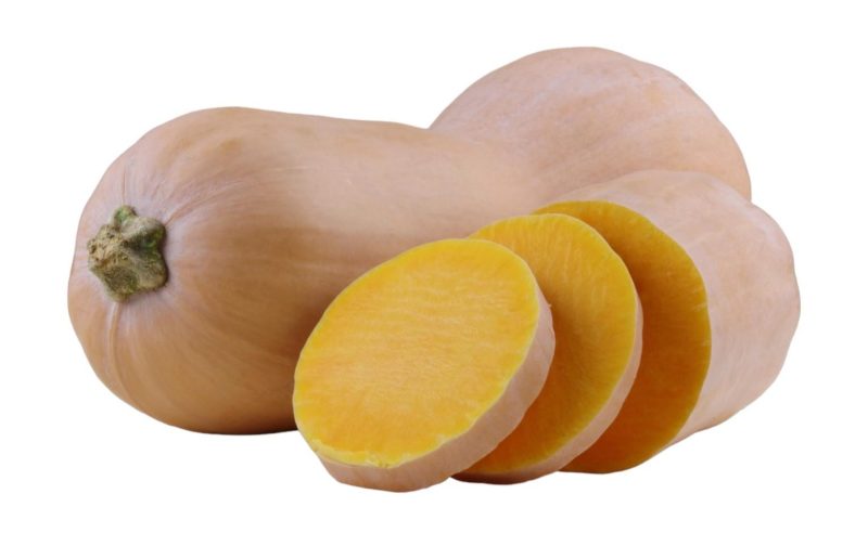 Zucca Violina