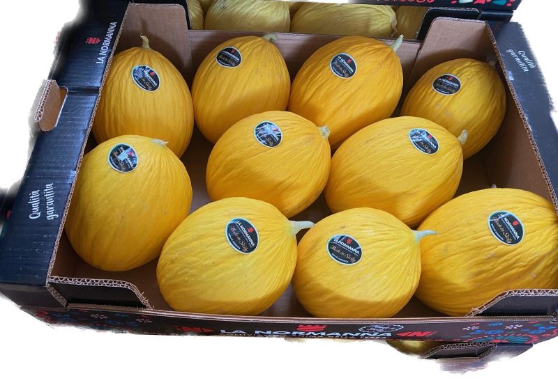 Melone Giallo