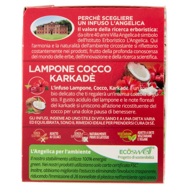 L'Angelica Passione di Frutta Lampone Cocco Karkadè 15 Filtri 28,5 g