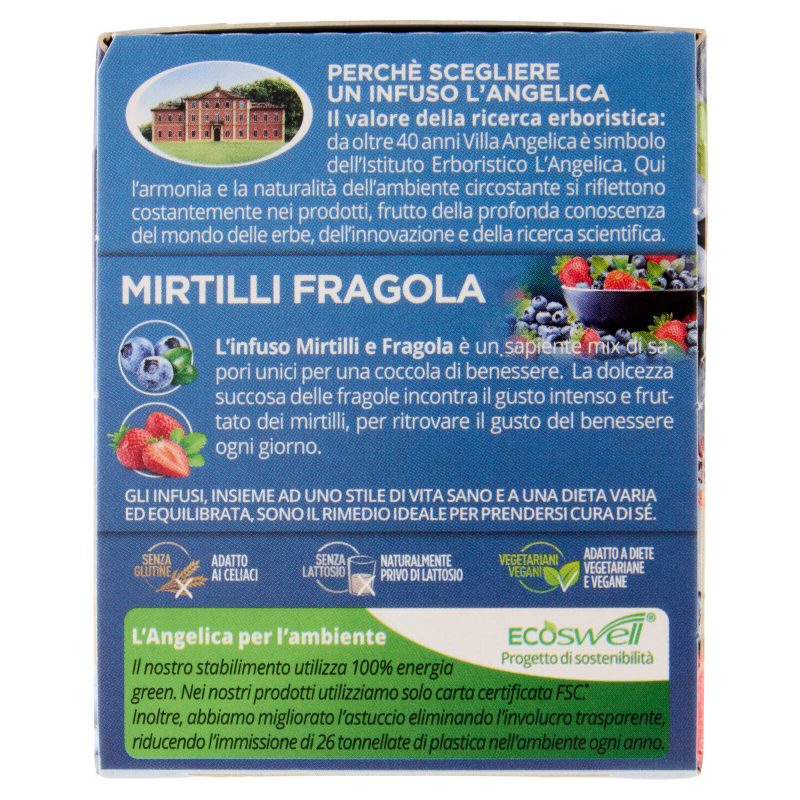 L'Angelica Passione di Frutta Mirtilli Fragola 15 Filtri 28,5 g