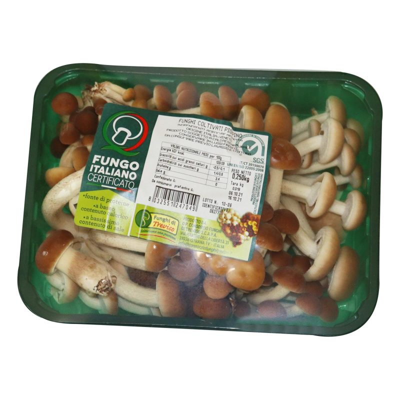 Funghi Coltivati Pioppino 250 g